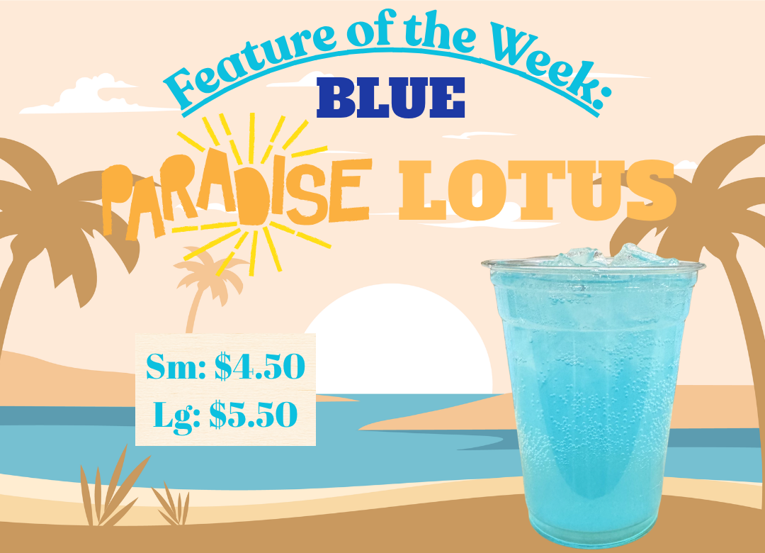 paint the town blue, lotus, coffee near me, energy drink, ebels coffee