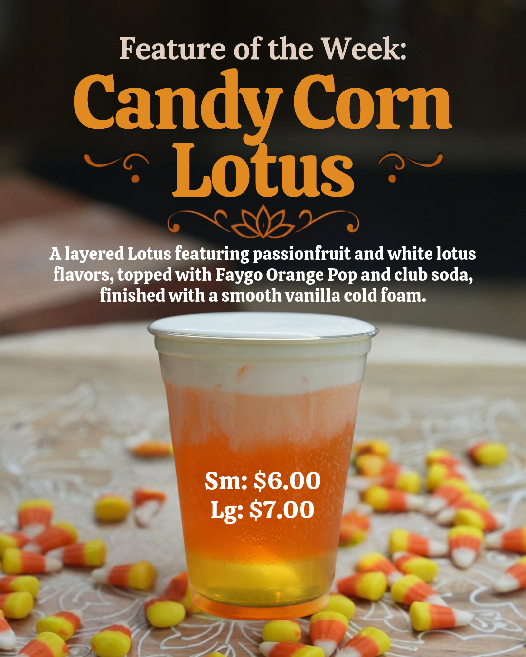 coffee near me, fall drinks, pumpkin spice, pumpkin, ebels coffee, the bridge, falmouth
